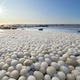 Nenavaden pojav: tisoče 'ledenih jajc' prekrilo obalo na Finskem