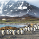 Nasedla ledena gora bi lahko ogrozila življenja številnih pingvinov in tjulnjev