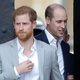 Pogreb princa Filipa: William in Harry ne bosta hodila drug ob drugem