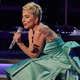 Iz zapora pomotoma izpustili osumljenca, ki je ustrelil sprehajalca psov Lady Gaga
