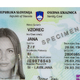NAČRTUJETE ZIMSKE POČITNICE V TUJINI? Pozor, preverite veljavnost osebnih dokumentov