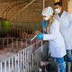 Predlog zakona o zaščiti živali razburja veterinarje: Zakaj smo študirali?
