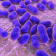 Umetna inteligenca pomagala pri razvoju antibiotika, ki lahko uniči smrtonosno bakterijo