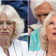 Fotografije kraljice Camille iz Wimbledona postale uspešnica