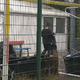 Ljubljanski azilni dom poka po šivih, migranti spijo kar zunaj v šotorih
