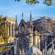 Katedrala Notre Dame bo obnovljena do olimpijskih iger