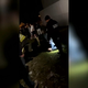 Policija: Iz posnetkov je razvidno, da je bila uporaba fizične sile prekoračena