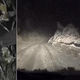 Sneg pobelil nekatere dele Srbije
