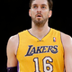 V košarkarskem hramu slavnih Gasol in Radovanović