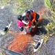 Preživeli po zasilnem pristanku letala v močvirju 36 ur čakali na pomoč
