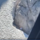 Posnetek mahajočega planinca, ki ga je presenetila gora