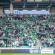 Ima Olimpija novega trenerja? Tuji mediji so prepričani v to
