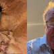 Jeremy Clarkson namesto v nogometu užival v družbi pasjih mladičkov