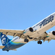 Letalo Alaska Airlines ob pristanku trčilo v tri jelene