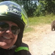 Italijanski turist posnel selfie z medvedom, kmalu za tem umrl