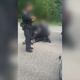 Preiskava avstrijske policije: Slovenec po aretaciji končal v bolnišnici