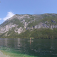 V teku preiskava novega pogina psa, v Bohinju dodatne opozorilne table