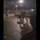 Po gasilski veselici v Slovenski Bistrici brutalno pretepli 17-letnika