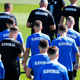 Optimistični Slovenci pričakujejo zvezdniške Švede