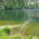 Človek proti naravi: kako naše navade hranijo cianobakterije v Bohinju