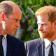 Princ Harry pomoč za spravo z bratom iskal tudi pri mediatorju