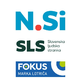 Nova Slovenija, SLS, Fokus