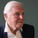 Naravovarstvenik David Attenborough dopolnil 100 let