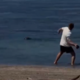 Turist kamenjal ogroženega tjulnja: 'Briga me, saj sem bogat'