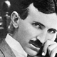 Nikola Tesla je oboževal to živilo: pravijo ji tudi "zeleno zlato", naberete pa ga lahko kar sami