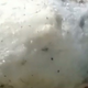 VIDEO: Na plaži odkrila smrdljiv 'kamen', vreden več kot 60.000 evrov | Cekin.si