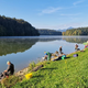Šmartinsko jezero se že drugo leto sooča z velikim poginom rib