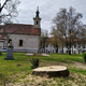 Bo razprava ob poseku pajesena v Maksimilijanovem parku privedla k dodatnim razmislekom?