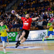 Pivovarji brez točke v derbiju s Slovanom
