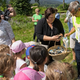 Celje in Laško zadnji postaji sončne poti: posadili sončnice kot simbol skupnih vrednot