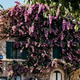 V italijanskem mestecu turisti tako podivjali, da ... (ne boste verjeli, kaj so morali uvesti!)