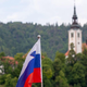 Srb brez dlake na jeziku osupnil: "Ne razumem Slovencev, kako lahko tako živijo?! Res so nori!" (VIDEO)