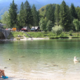 Potrjeno: psička v Bohinju poginila zaradi zastrupitve – opozorilo za lastnike