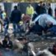Islamizacija Velike Britanije napreduje: Rokavski preliv prečkalo rekordno število migrantov v enem dnevu