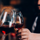 Mednarodni salon prestižnih vin v Ljubljani
