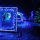 Z lučkami vabita Mozirski gaj in Arboretum