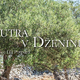 Recenzija romana Jutra v Dženinu: Brez izhoda