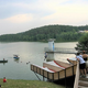 Šmartinsko jezero: Že drugo leto opažajo množičen pogin krapov