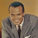 Harry Belafonte: Kalipso, vesele pesmi o težaštvu