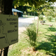 Nudizem: Vzpon in zaton naturističnega raja
