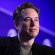 Musk spodbuja posel, ne razvoja