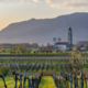 Skrivnost vipavskih vin ni več skrivnost: to jim daje tisti pravi okus …