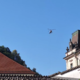 Zakaj je nad Ljubljano krožil helikopter