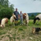 Domačini lepo sprejeli mestne srajce