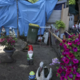 Nasilni incidenti: Sojenje najhitreje v primeru ribniškega župana