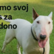 Tina Gaber uradnikom očita, da nimajo srca in jajc